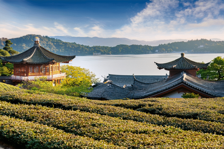 Breathe in the scent of tea leaves and history beside West Lake